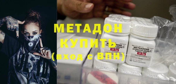 стаф Алзамай