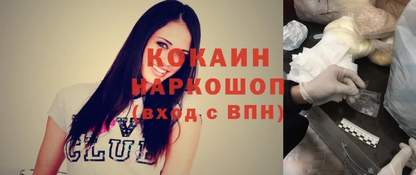 стаф Алзамай