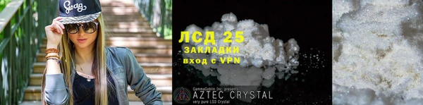 стаф Алзамай