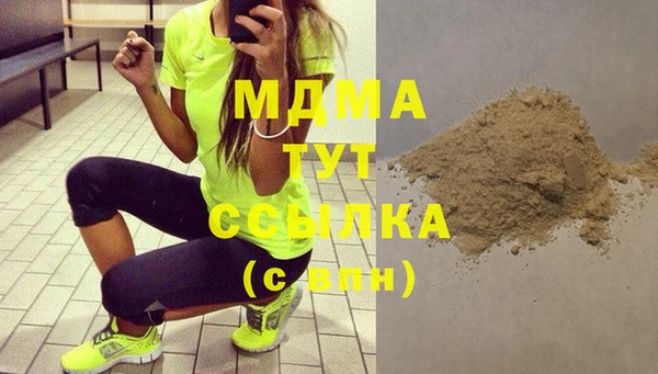 стаф Алзамай