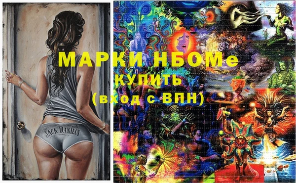 стаф Алзамай