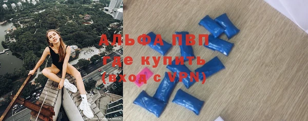 стаф Алзамай