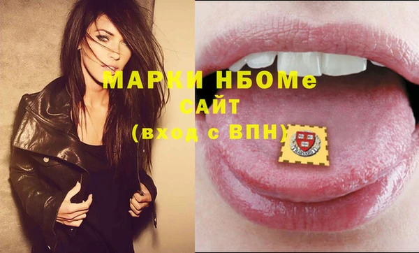 стаф Алзамай