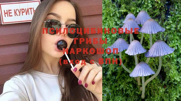 стаф Алзамай