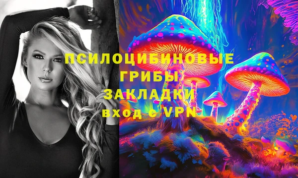 стаф Алзамай